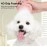Dog Bath Brush Cat Comb Grooming Brush Pet Shower Brush Safety Silicone Comb With Shampoo Box For Dogs Cats Clean Bath Tools